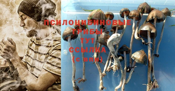 ешки Вяземский