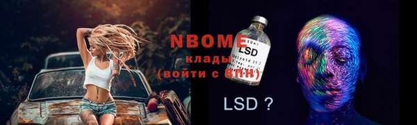 ешки Вяземский