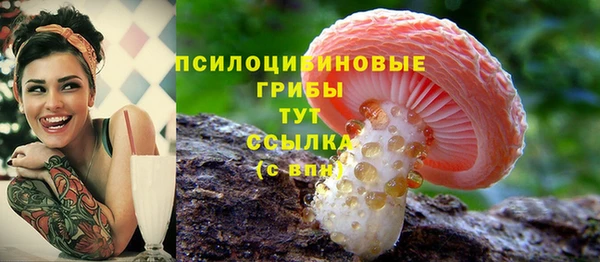 ешки Вяземский