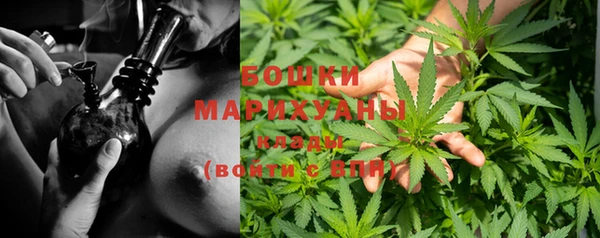 круглые Вязьма