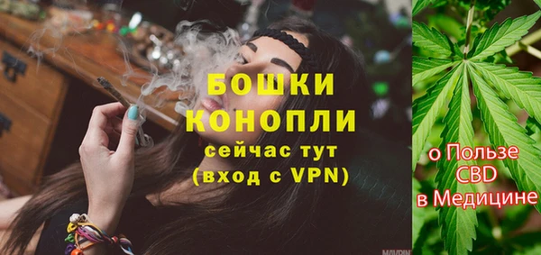 ешки Вяземский