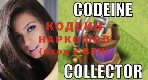 ешки Вяземский
