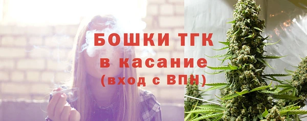 ешки Вяземский