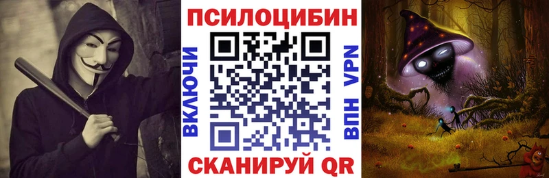Купить закладки  Междуреченск  Псилоцибиновые грибы Cubensis 